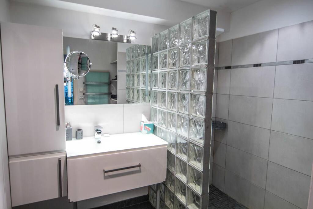 Appartement Avec Jardin Interieur 4 Pers Centre Ville Немур Екстериор снимка